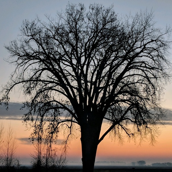 Meet your Posher, Shannon - Picture 1 of 1